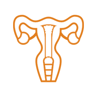 UTERUS CANCER